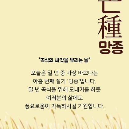 [24절기 중 아홉 번째 절기] '망종'