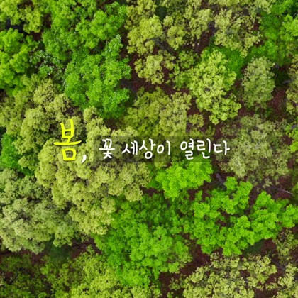 꽃, 세상이 열린다