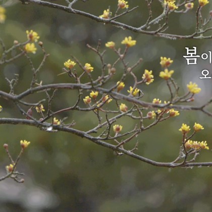이달의 영상 예천박물관에서 '봄이 오나봄' (2020.03)