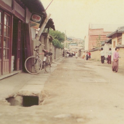 사진으로 보는 예천 50년사