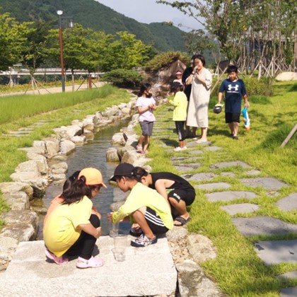 삼강나루 캠핑장 실개천