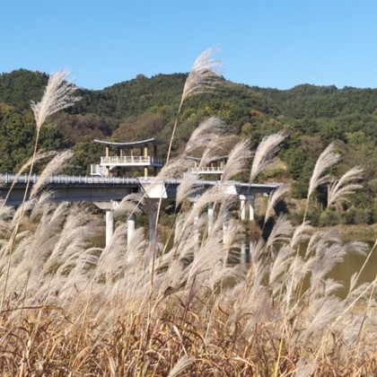 삼강의 가을(1)