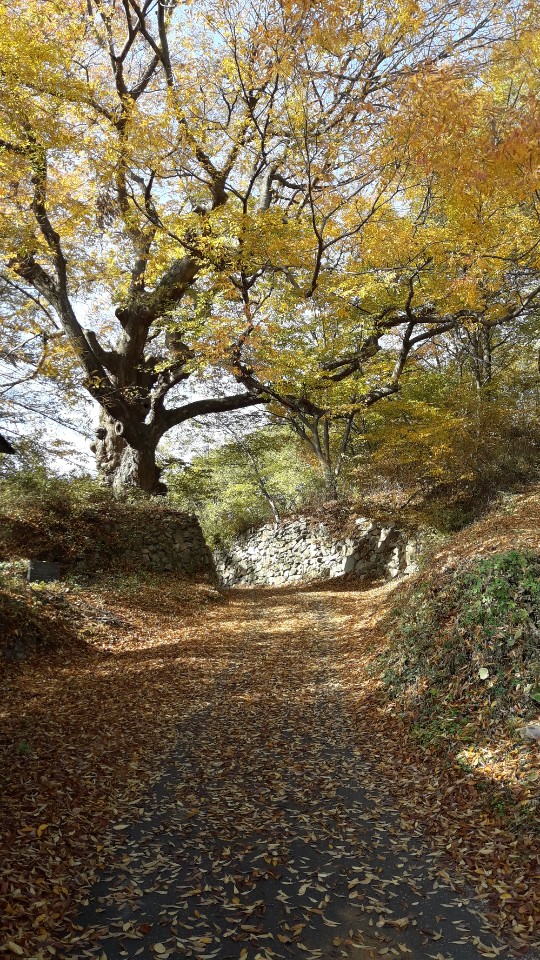 external_image